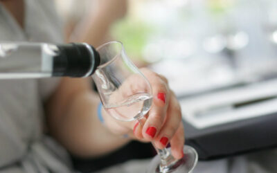 ПРОГРАМ ПОДРШКЕ ИНТЕРНАЦИОНАЛИЗАЦИЈИ ПРЕХРАМБЕНЕ ИНДУСТРИЈЕ И ИНДУСТРИЈЕ АЛКОХОЛНИХ ПИЋА